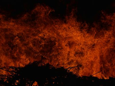 Abstract energy wave symbol for daily vigor